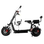 60v 20ah Lithium Battery 1000W Fat Tyre Citycoco Electric Motorcycle for Range
