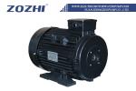High Pressure Plunger Pump Motor 2.2KW 3HP Hollow Shaft Electric Motor For Clean