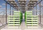 Solar Powered Black Film Greenhouse Mushroom Farming Strong Plastic Greenhouse