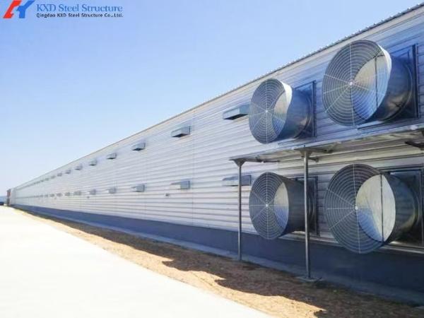 Modern Poultry Farm Chicken Farm Steel Structure Building Light Steel Structure