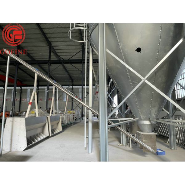 Auto Compost Fertilizer Production Chicken Manure Scraper Hydraulic Customized