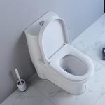 Commercial Ada Bathrooms Toilets For Physically Handicapped Challenged Person