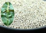 Round Shape Small Bird Food Perilla Seeds Type 100% Nature Featuring