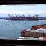 Global Door To Door Sea Container Freight Sea Freight Forwarders