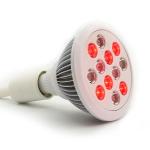 Skin Rejuvenation 660nm 850nm Infrared Red Light Therapy Device with 12Pcs 3W