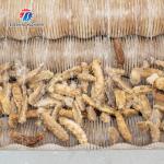 1500KG/H Root Vegetable Washing And Peeling Machine For Restaurant