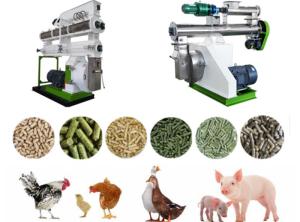 China Electric Feed Pellet Production Line Of Animal Feed Manufacturing Machine wholesale