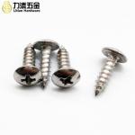 Stainless steel cross large flat head tapping screws umbrella head tapping