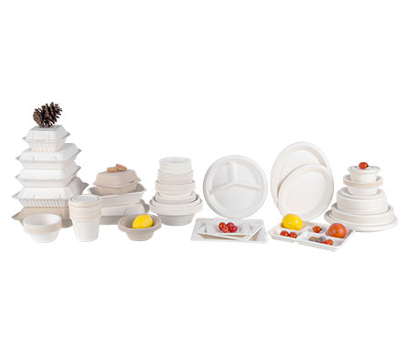 Sugarcane Pulp Dinnerware Sets 100% Biodegradable Disposable Food Packaging Storage Container sugarcane bagasse clamshell