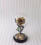 Real Natural Fresh Big Rose Preserved Flower Preserved Everlasting Real Roses in
