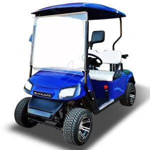 China Two Person Electric Road Legal Golf Buggy Custom Golf Cart Supply 25Mph -40Mph wholesale