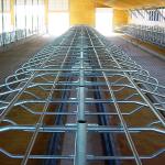 Galvanized Pipe Free Stall Barn