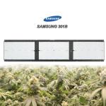 SAMSUNG 301B Quantum Board Led Grow Light 320W For Greenhouse Project