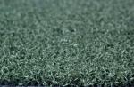 17mm PE Material Golf Artificial Grass For Outdoors Sports Or House Floor With