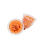 5-6cm Preserved Rose Heads