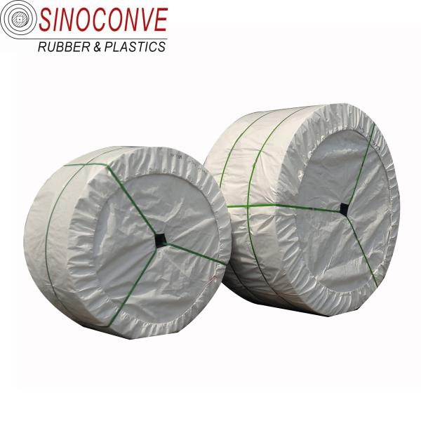 2-3m Wide ST1250 Endless Rubber Conveyor Belt for Cogeneration Plants in Energy