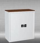 New design 2 Drawer steel office furniture file cabinet steel vertical password