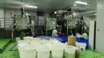 Natural Cherry Kernel Oil Compound Cherry Seed Oil MSDS Free Sample