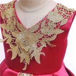 2021 New V-Neck Flower Girl Dress Champagne Lace Princess Dress Vestidos De Ropa