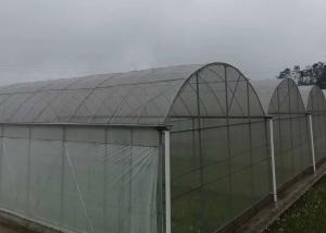 China Rose Cherry Tomato Plastic Cover Greenhouse Single Span With Hydroponics System wholesale