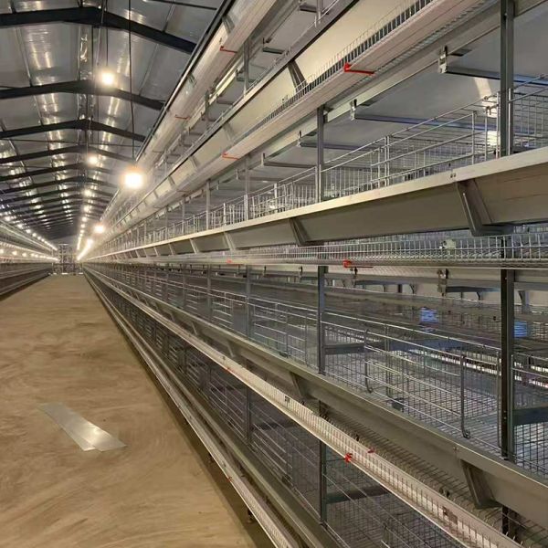 H Type 20000 Capacity Battery Layer Egg Chicken Cage with Automatic Cleaning Belt and Egg Collection System and Feeding System