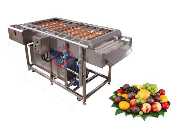 Stainless Steel Automatic Fruit Brush Washing Machine / Peach Red Dates Cleaning