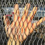 Stainless Steel Birdhouse Net Zoo Rope Net Wire Rope Net For Animal Enclosure