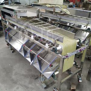 China Automatic Apple Grading Equipment , Orange Strawberry Fruit Sorting Machine wholesale