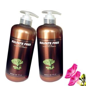 China SLS Free Argan Oil Hair Treatment Hydrating Shampoo For Dry & Damaged Hair‎ wholesale