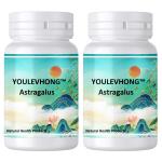 Non GMO Organic Astragalus Supplement Long Shelf Life Pure Natural 100 Capsules
