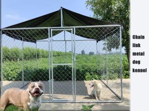 China 10x10x6ft Steel Dog Kennel Galvanized Chain Link Dog Run Kennel wholesale