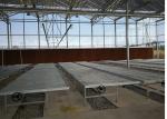 Film Cover Material Hydroponic Greenhouse With Farm Irrigation High Transmittanc