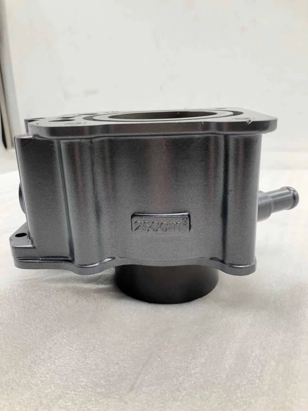 Motorcycle Engine Spare Parts Complete Cylinder Head for DAYANG CG250 Gasoline Engine