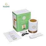 Islamic Al Mp3 Player Mini LED Speaker Quran Lamp