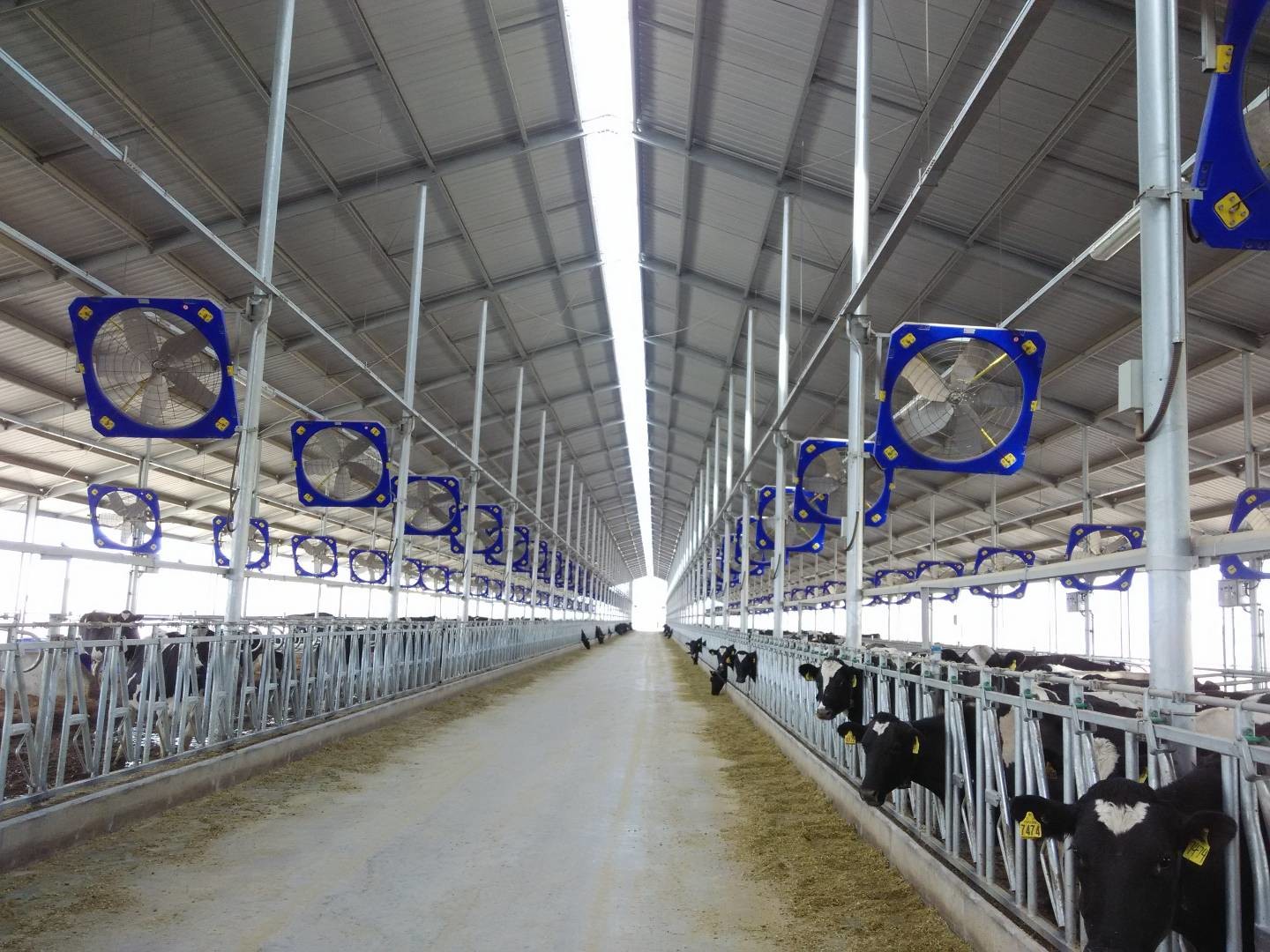 Industrial 1.1A 50-60HZ Circulation Fan For Livestock Ventilation