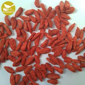 China Natural GMP goji berry Fram Croped Goji Berries With Organic Certification wholesale