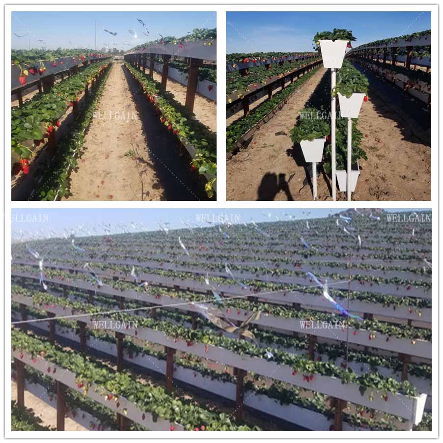 Greenhouse Plastic Hydroponic Growing Systems Vertical Cultivation Strawberry Gutters