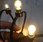 Decoration Light 100M 12v String Fairy Light Christmas Xmas Holiday Lamp Light