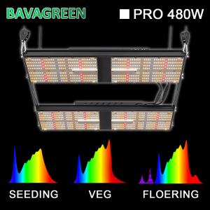 China BAVA LED Flowering 480w Grow Lights LM301H qb288 uv ir quantum board wholesale