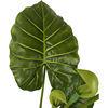 Fake Colocasia Esculenta, Plastic variegata artificial Taro, Subtropics Faux