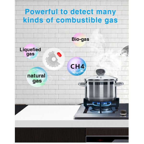 Tuya Kitchen CH4 LPG Wifi Natural Gas Leak Detector