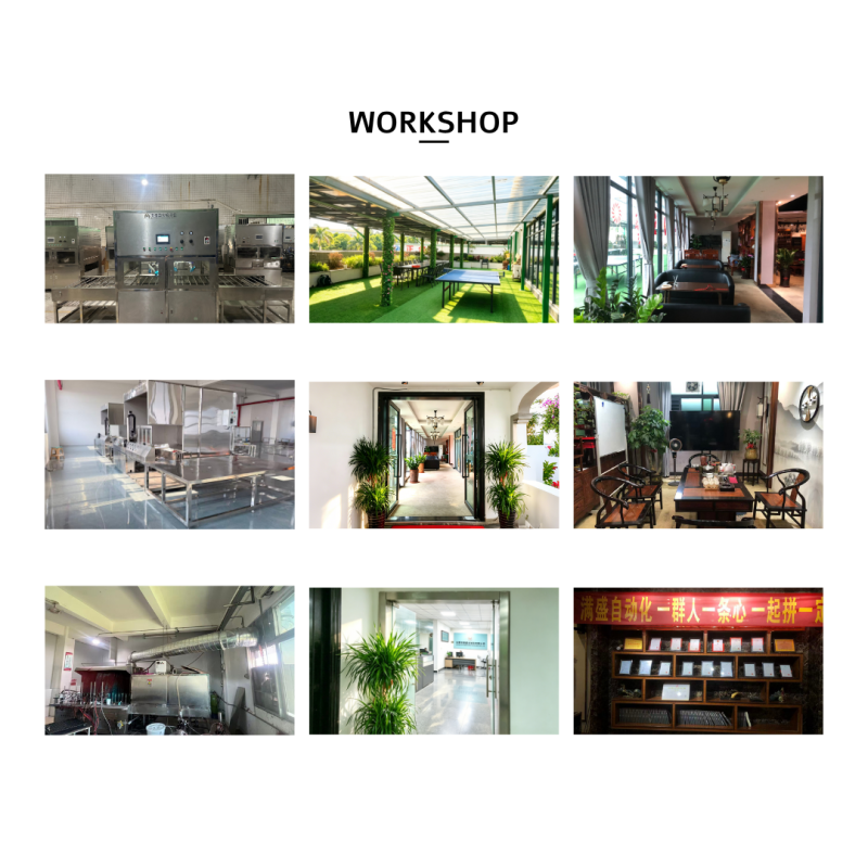 Automatic Spray Painting Machine, Coating Equipment for Plastic Crocodile Toy Surface Spraying