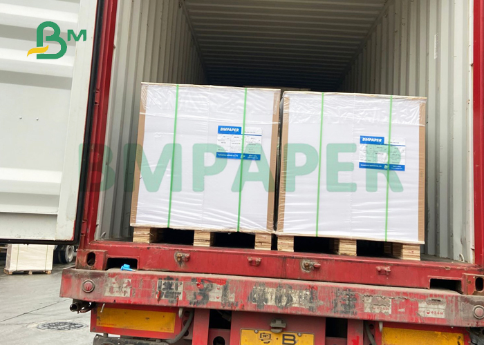 250gsm 300gsm C2S Art Board For Brochure Cover 72 x 95cm Uniform Surface