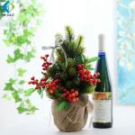 Mini Indoor Green Plants , Bonsai Christmas Tree For Table Ornament