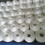 OEKO Embroidery Polyester Filament Sewing Thread 120D/2