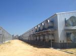 Automatic Steel Structure Poultry Farm Shed Design Modern Chicken House