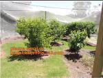 Hot Selling Greenhouse Anti Insect Netting with Competitive Price,virgin hdpe