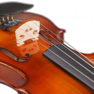 China constansa Co., Ltd. is a professional violin manufacturer, specializing in music education equipment research and wholesale
