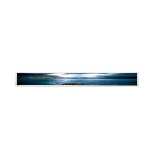 China G280HVN01.0 28.0 inch tft lcd display module 1920×360 lcd display screen wholesale
