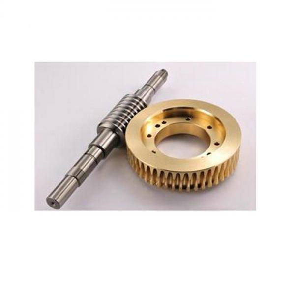 Quality Double Envelope Worm Gear with High Precision for sale